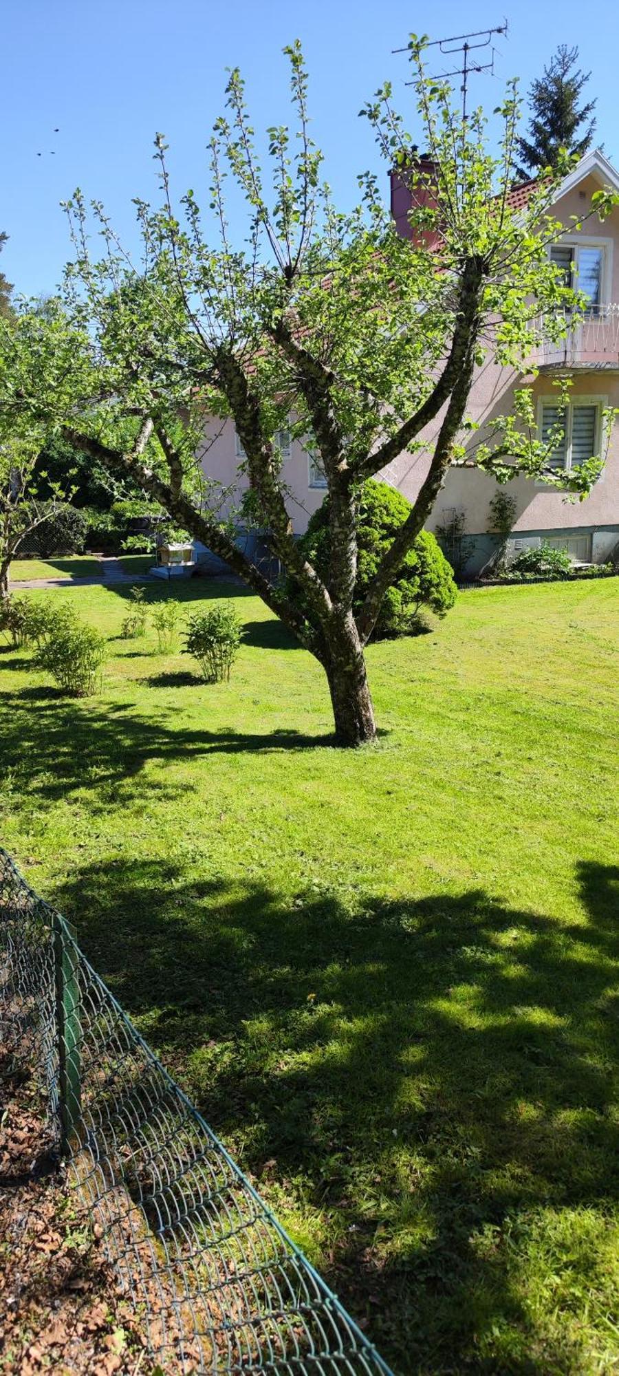 Hela Boendet Uthyres Överlida Exteriör bild