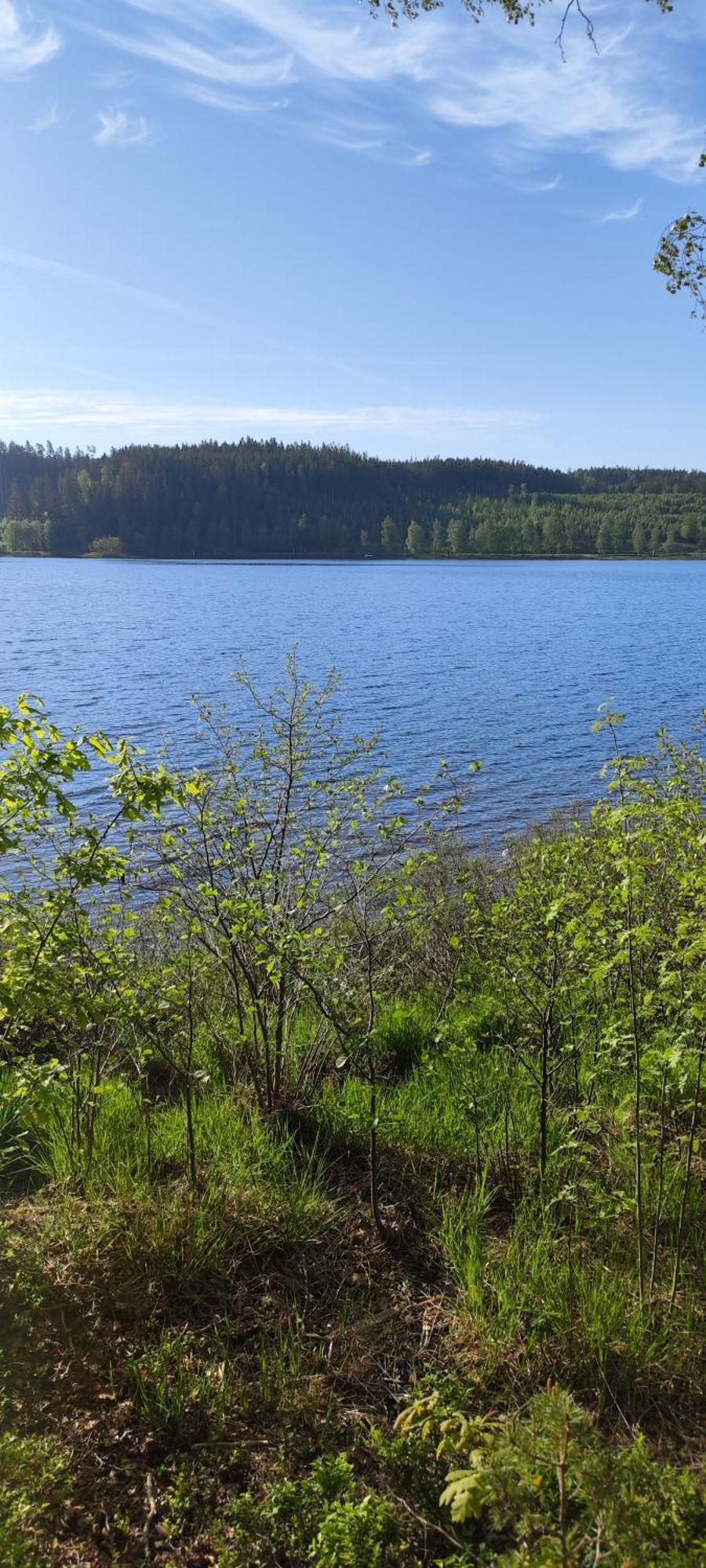 Hela Boendet Uthyres Överlida Exteriör bild